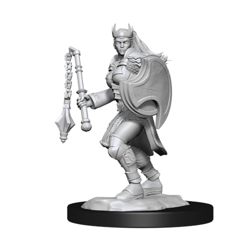 DD Nolzur's Marvelous Miniatures: Kalashtar Cleric Female