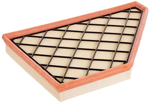 ACDelco GM Original Equipment A3212C 23321606 Air Filter
