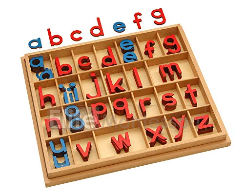 Elite Montessori Wooden Movable Alphabet with Box Preschool Spelling Learning Materials Red Blue, 5mm Thick