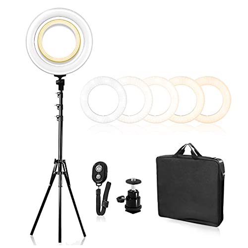 LimoStudio AGG1774 240LED 18" Dimmable Ring Light Kit with Adjustable Brightness & Color Temperature, Sturdy Light Stand, Bluetooth Remote & Easy Carry Bag.