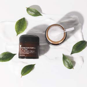 Mizon Snail Repair Cream 2.53oz - Wrinkle & Blemish Care with Snail Mucin Extract (75ml)