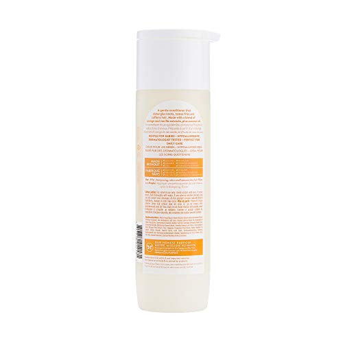 The Honest Company Everyday Gentle Conditioner (Sweet Orange Vanilla) | Hypoallergenic | Paraben Free | With Coconut Oil & Orange Vanilla Extracts | 10 Fl. Oz.