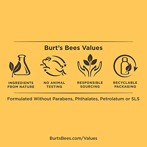 Burt's Bees Gift Set with Gloves [3 Hand Repair Products] - Almond Milk Hand Cream, Lemon Butter Cuticle Cream & Shea Butter Cream
