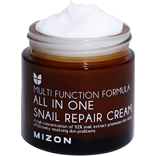 Mizon Snail Repair Cream 2.53oz - Wrinkle & Blemish Care with Snail Mucin Extract (75ml)