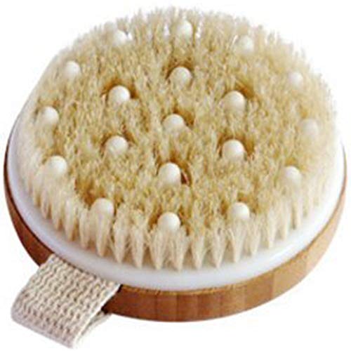 C.S.M. Body Brush for Wet or Dry Exfoliating and Massaging - (Gets Rid of Cellulite and Dry Skin, Improves Circulation) - Soft, Glowing Skin
