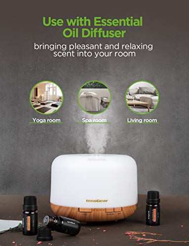 OnePure 6x10ml Essential Oils Set for Diffusers, Humidifiers, Massage & Aromatherapy (Lavender, Tea Tree, Eucalyptus, Lemongrass, Orange, Peppermint)