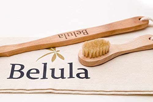 Premium Dry Brushing Set [Boar Bristle Brush, Exfoliating Face Brush, Bath Gloves] with Free Bag & How-To Guide – Glowing Skin & Healthy Body Gift.
