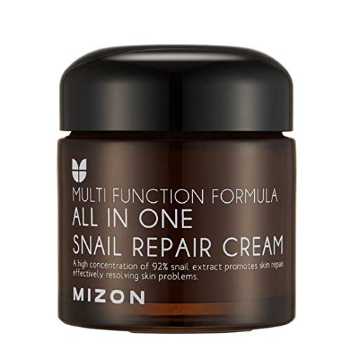 Mizon Snail Repair Cream 2.53oz - Wrinkle & Blemish Care with Snail Mucin Extract (75ml)