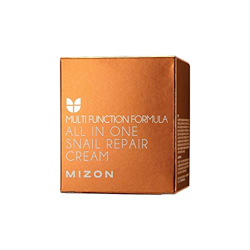Mizon Snail Repair Cream 2.53oz - Wrinkle & Blemish Care with Snail Mucin Extract (75ml)