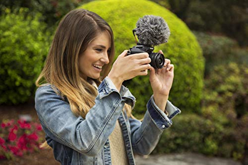RØDE VideoMicro Compact On-Camera Microphone with Rycote Lyre Shock Mount
