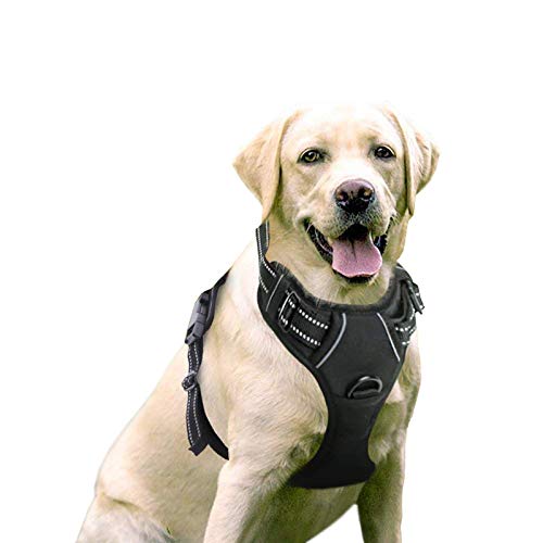 Rabbitgoo Dog Harness, No-Pull Pet Harness with (2 Leash Clips), Adjustable Soft Padded Vest (Reflective, No-Choke, Oxford), Easy Control Handle for Large Dogs, Black, L