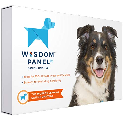 Wisdom Panel 3.0 Canine DNA Test Kit - Find Your Dog's Breed and Ancestry Information