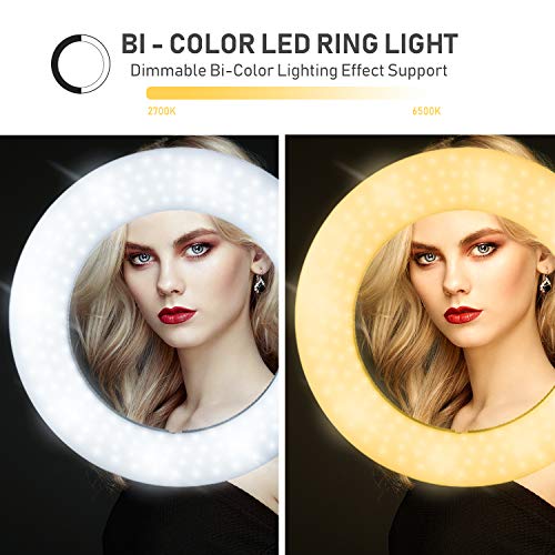 LimoStudio 14" LED Ring Light with Stand and Mount Adapter for Beauty Facial Shots, Smartphone Selfies, Video (AGG2203)