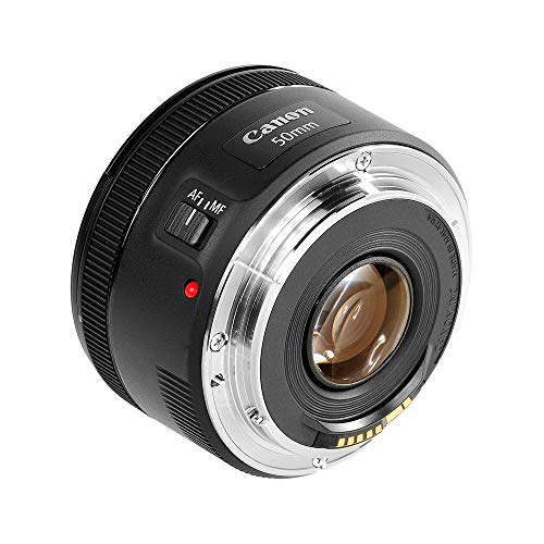 Canon EF 50mm f/1.8 STM Camera Lens (EF50MM18STMLENS)