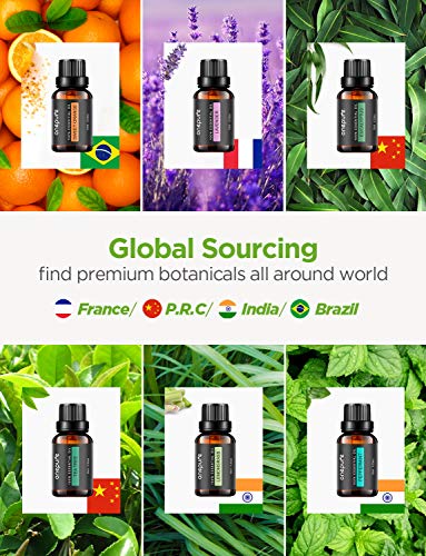 OnePure 6x10ml Essential Oils Set for Diffusers, Humidifiers, Massage & Aromatherapy (Lavender, Tea Tree, Eucalyptus, Lemongrass, Orange, Peppermint)