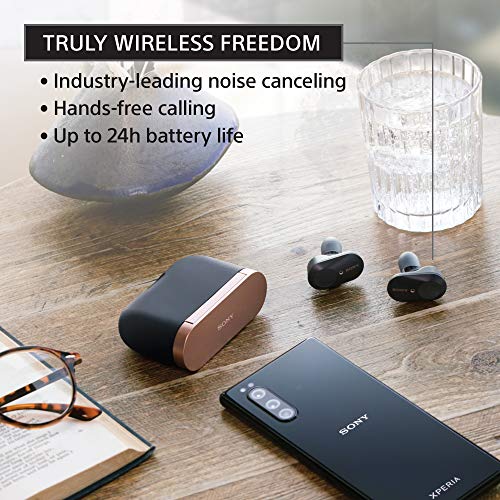 Sony WF-1000XM3 Noise Cancelling Wireless Earbuds with Alexa and Mic [Black]