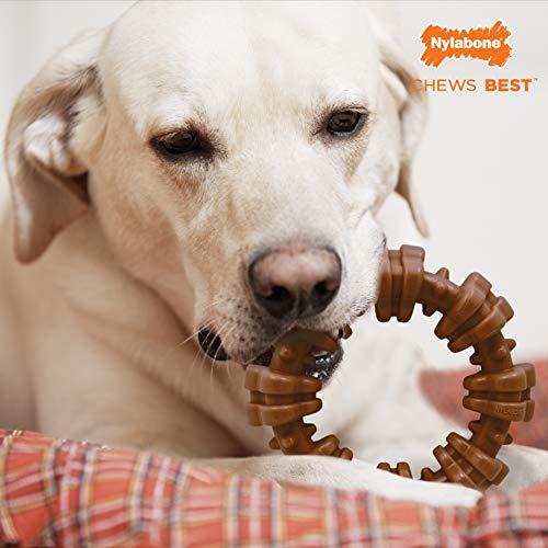 Nylabone Power Chew Textured Dog Chew Toy (X-Large/Souper Size - 50+ lbs) - Medley Flavor