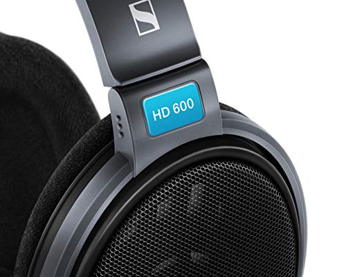 Sennheiser HD 600 Open-Back Hi-Fi Professional Stereo Headphones (Black)