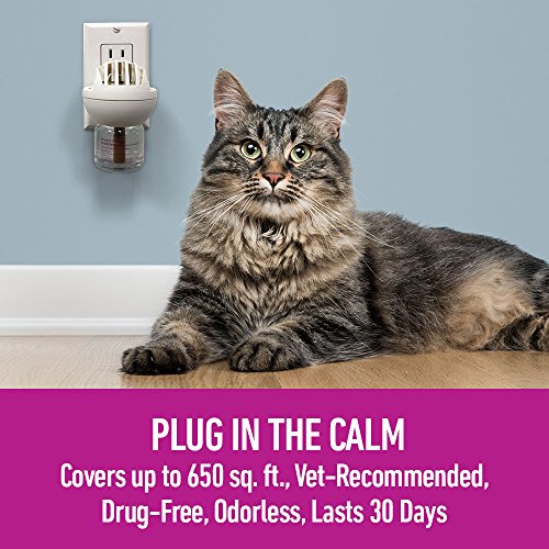 Feliway Diffuser Refills for Cats & Kittens (2 Pack) by Comfort Zone
