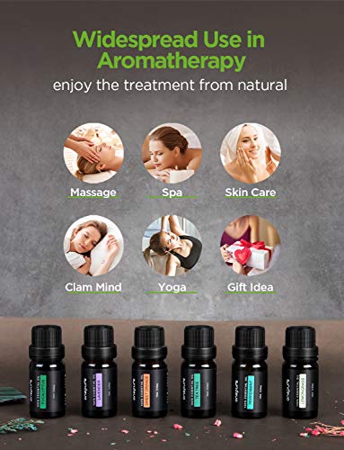 OnePure 6x10ml Essential Oils Set for Diffusers, Humidifiers, Massage & Aromatherapy (Lavender, Tea Tree, Eucalyptus, Lemongrass, Orange, Peppermint)