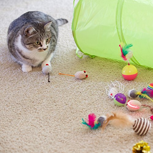 Youngever 24-Piece Cat Toy Assortment (2-Way Tunnel, Feather Toy, Mouse, Crinkle Balls) for Cats, Puppies, and Kittens