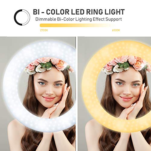 LimoStudio 18" 5500K LED Dimmable Ring Flash Light Kit (AGG1775) with 2 Stands for Photography.