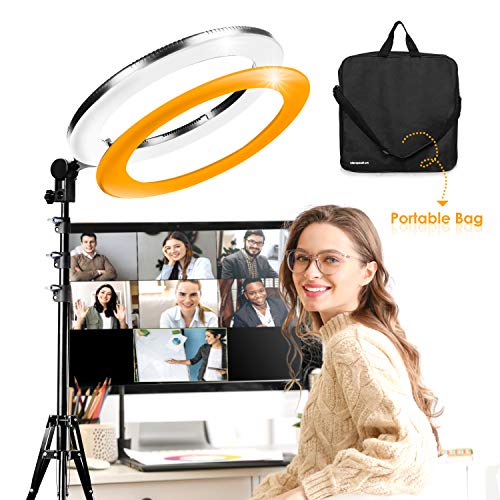 LimoStudio 18" 5500K LED Dimmable Ring Flash Light Kit (AGG1775) with 2 Stands for Photography.