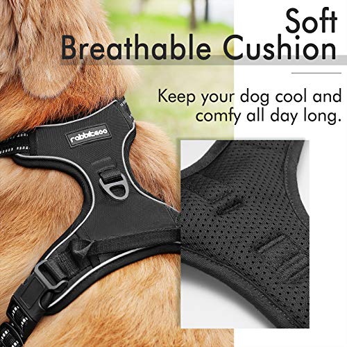 Rabbitgoo Dog Harness, No-Pull Pet Harness with (2 Leash Clips), Adjustable Soft Padded Vest (Reflective, No-Choke, Oxford), Easy Control Handle for Large Dogs, Black, L