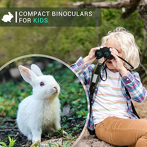 Aurosports 10x25 Binoculars for Adults and Kids (Folding Compact)