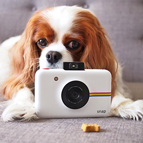 Polaroid Snap Digital Camera (White) with Zero Ink Printing Technology