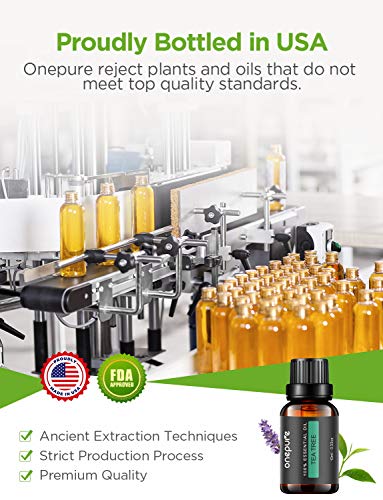 OnePure 6x10ml Essential Oils Set for Diffusers, Humidifiers, Massage & Aromatherapy (Lavender, Tea Tree, Eucalyptus, Lemongrass, Orange, Peppermint)