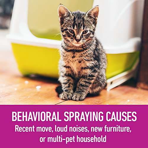 Feliway Diffuser Refills for Cats & Kittens (2 Pack) by Comfort Zone