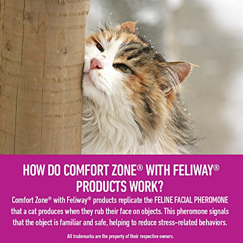 Feliway Diffuser Refills for Cats & Kittens (2 Pack) by Comfort Zone