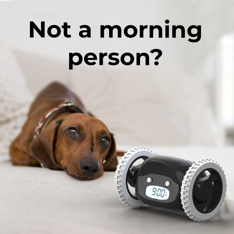 Clocky Alarm Clock on Wheels (Original) | Extra Loud for Heavy Sleepers | Robot Clockie for Adults and Kids | Funny, Rolling, Run-away, Moving, Jumping (Black)
