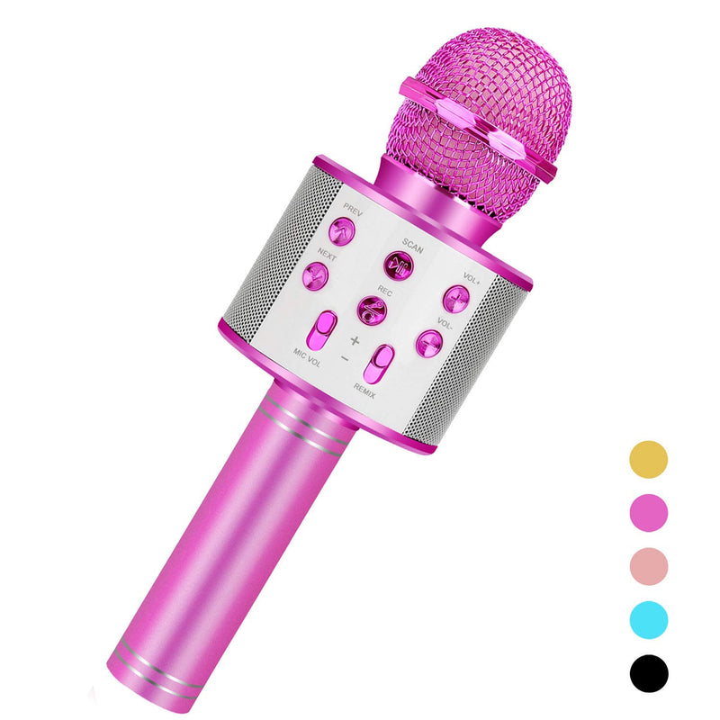 Karaoke Mic (Niskite Brand)