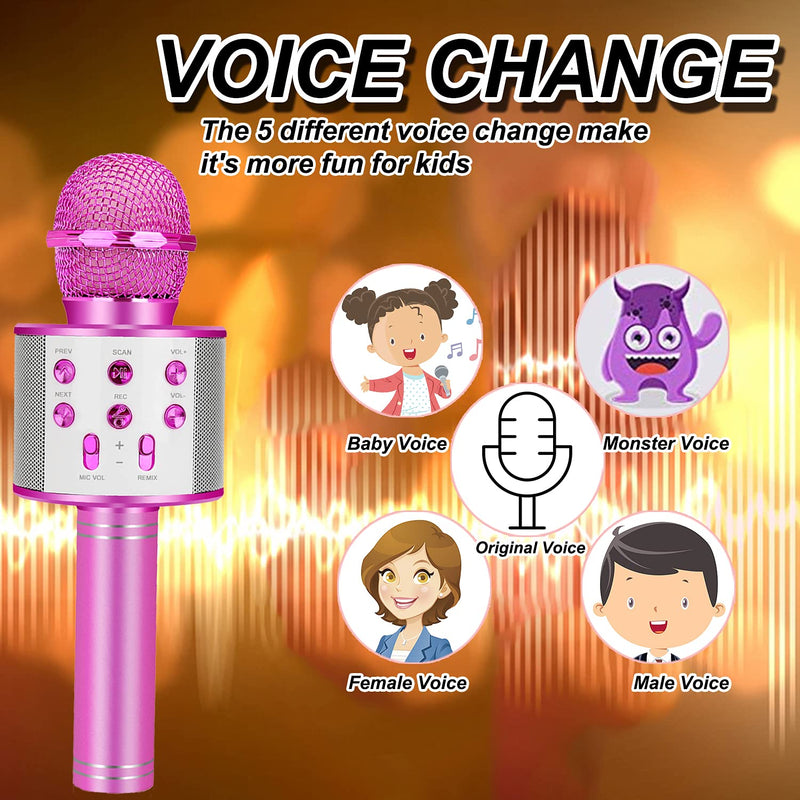 Karaoke Mic (Niskite Brand)