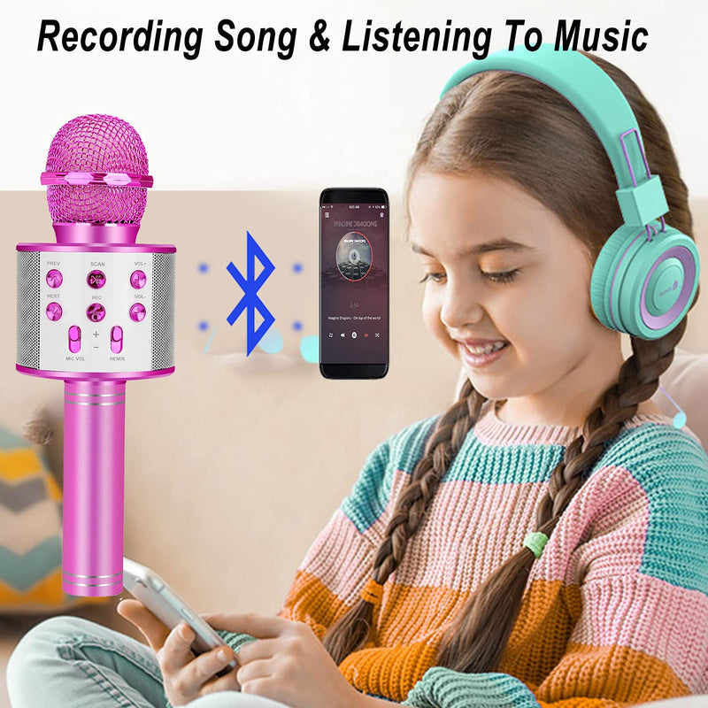 Karaoke Mic (Niskite Brand)
