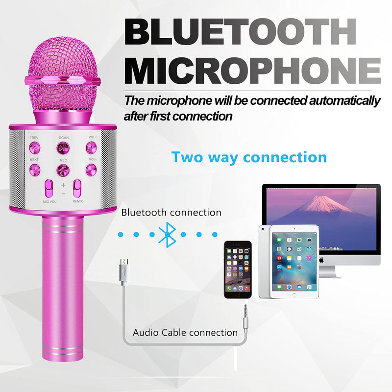 Karaoke Mic (Niskite Brand)
