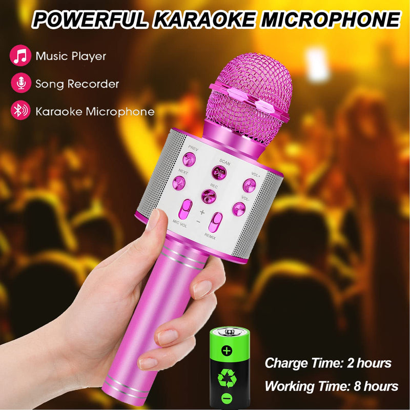Karaoke Mic (Niskite Brand)